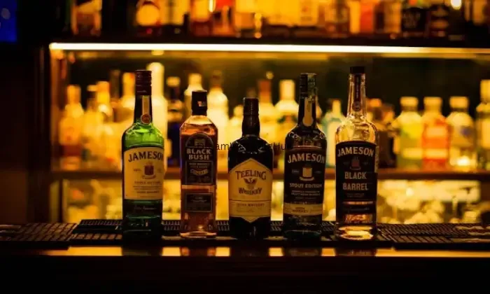 66 F Lounge Bar