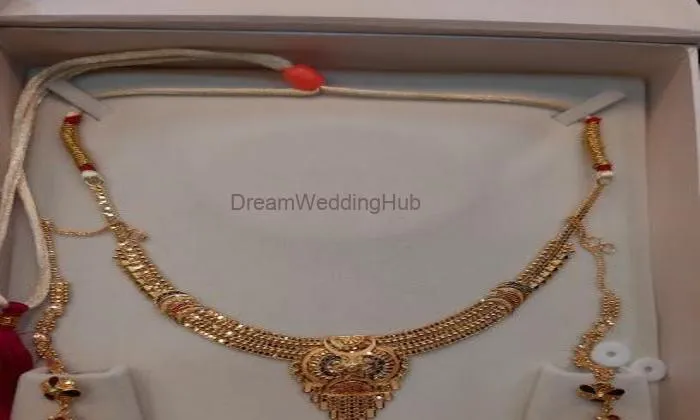 Aaple Shri Ganesh Jewellers Pvt.ltd.