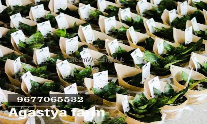 Agastyafarm - Eco Gifts & Plant Return Gifts