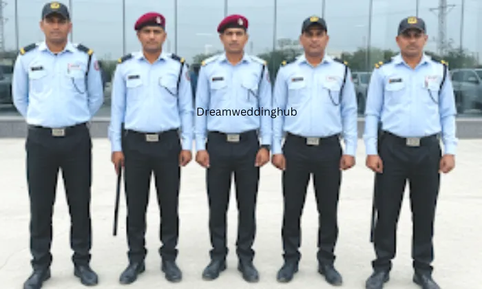 Alfa Security Service