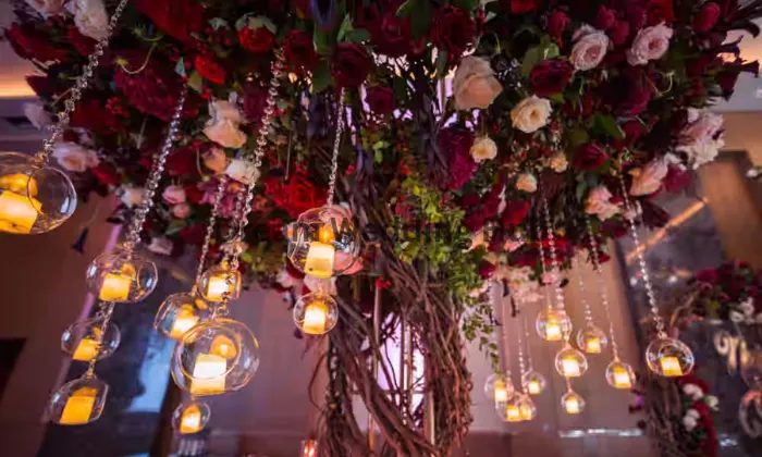 Alisha Wedding Hub Alisha Wedding Hub