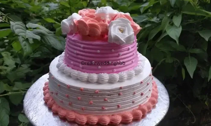 Amazing Cake By Sneha