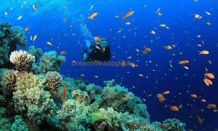 Andaman Ocean Tours And Travels