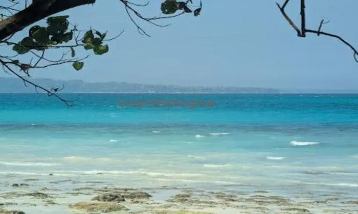 Andaman Sea Hawk Tours And Travels