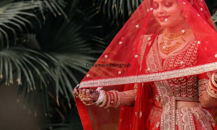Aniruddhas Photography Aniruddhas Photography