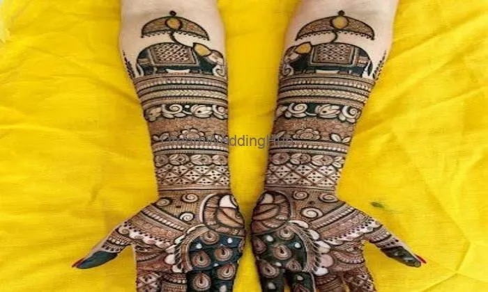 Anish Mehndi Artist | Best Mehndi Artist In Chandigarh | Best Bridal Mehndi Artist In Chandigarh