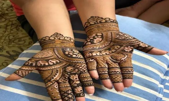 Aparna Mehandi Artist