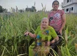 Apna Farms