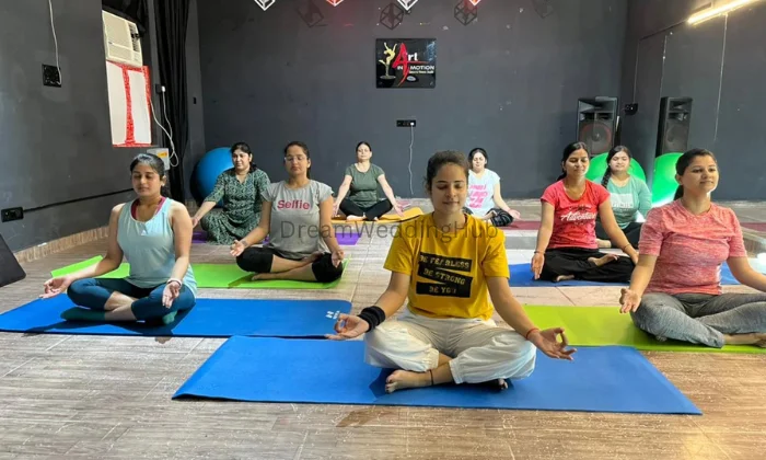 Art In Motion Dance And Fitness Studio