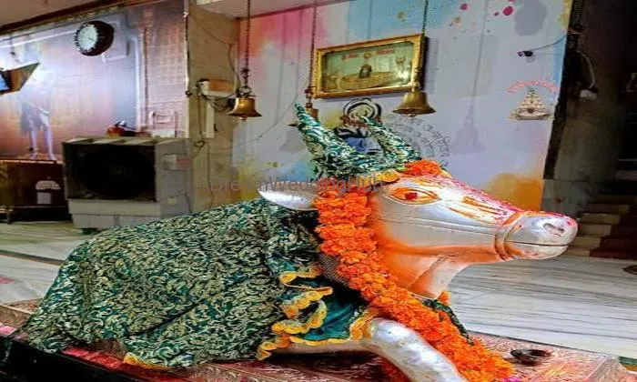 Astrologer Pandit Rishabh Bhatt | Ujjain Pandit