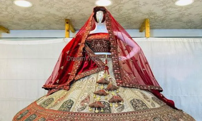 Ayesha Ladies Collection