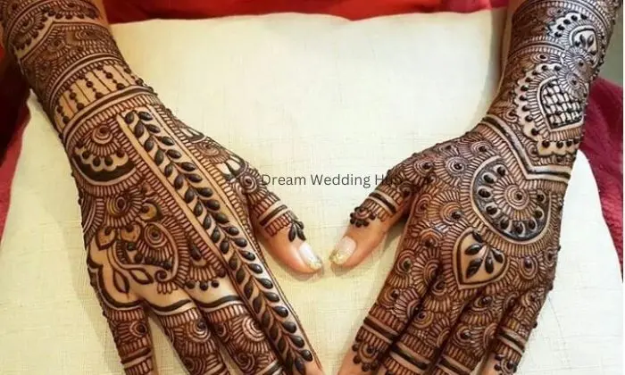Ayesha Mahendi Cone