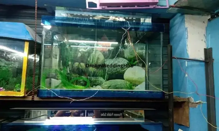 Babu Khan Aquarium