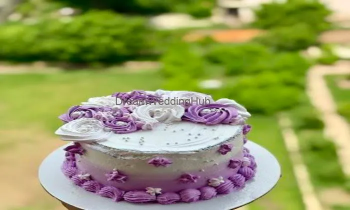 Baked In Oven By Vani Negi