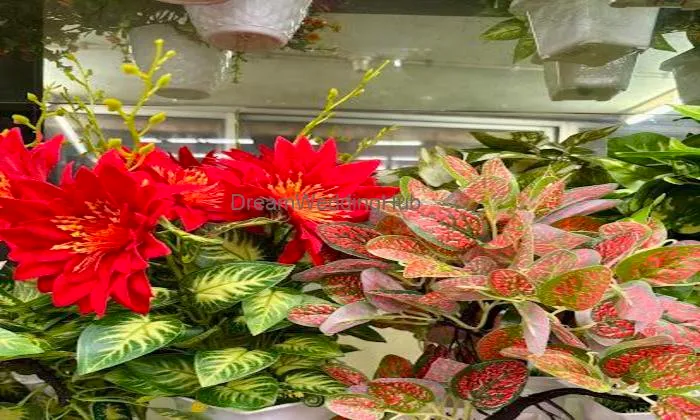 Balaji Big Bazaar