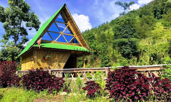 Bamboo Resort