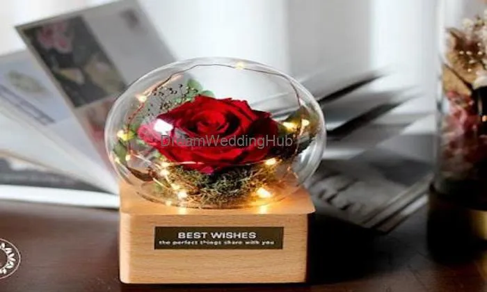 Best Gift Collection