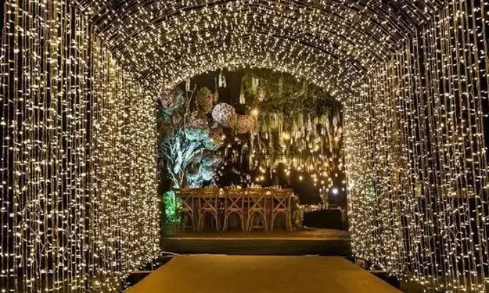Best Wedding Planner