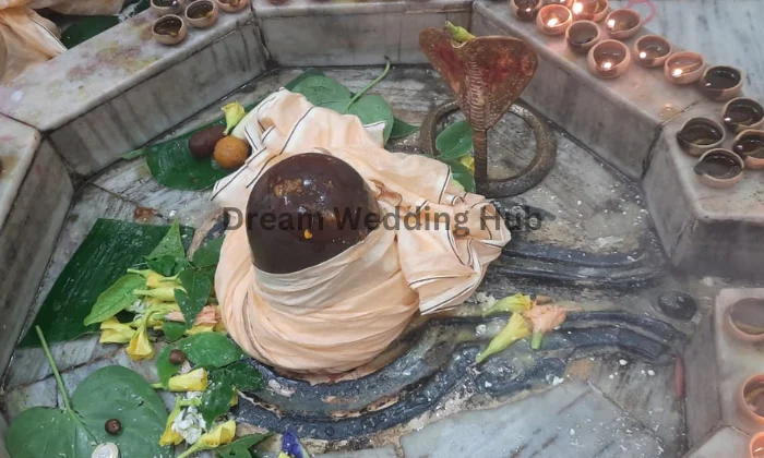 Bhagalpur Astrology