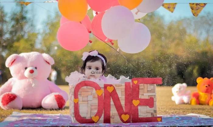 Bhau Films Wedding Photographer