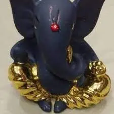 Bhavani Fancy Store 