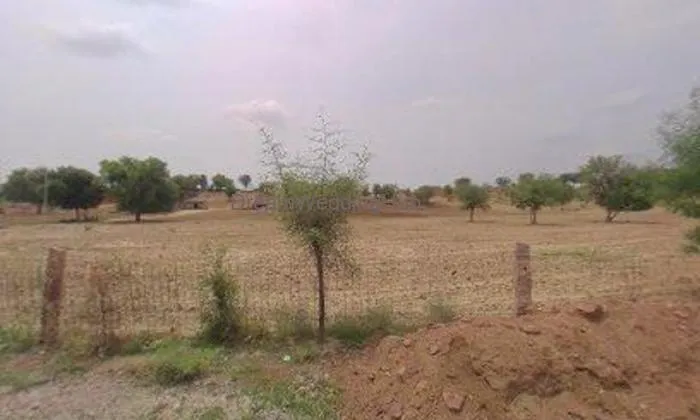 Bholenath Kirana Store