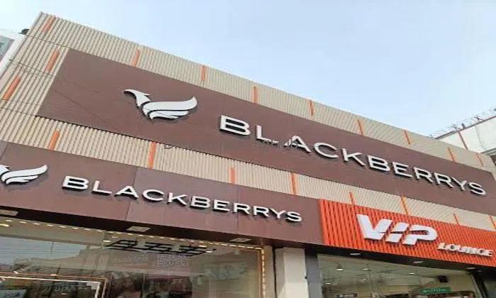 Blackberrys Blackberrys