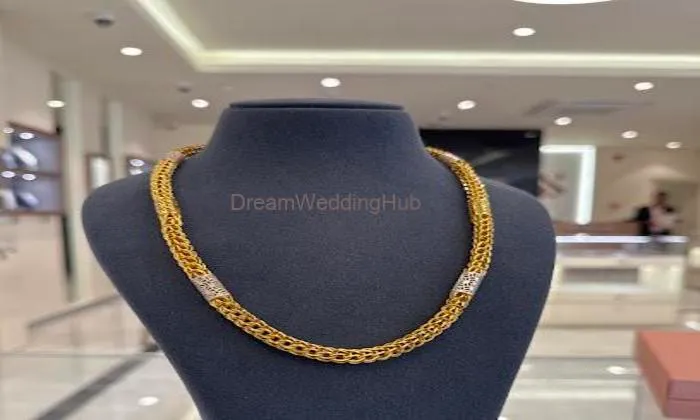 Bluestone Jewellery Model Town, Panipat
