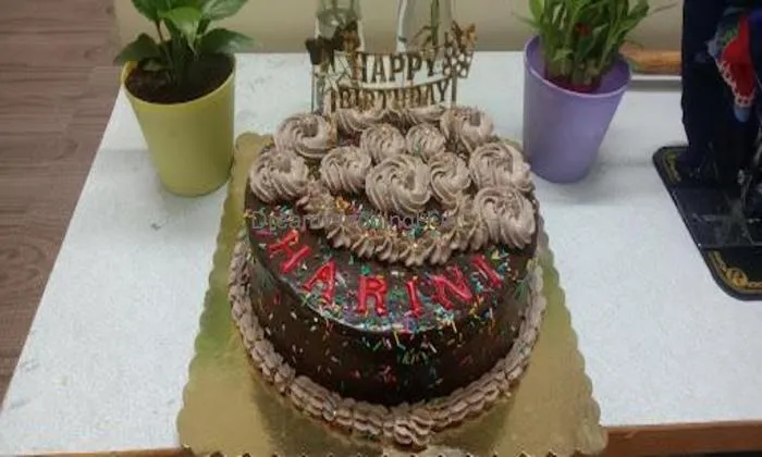 Bolo Cakes Namakkal
