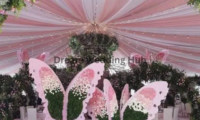 Butterfly Designs