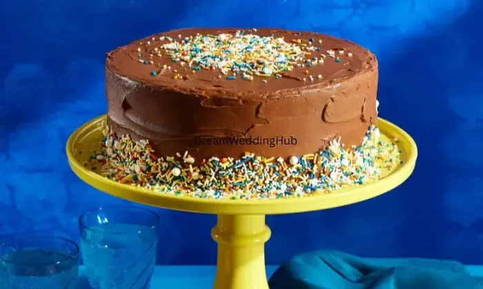 Cake Box Indore