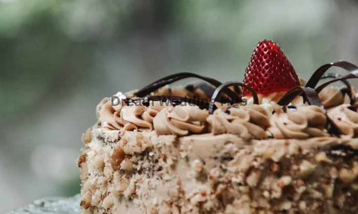 Cake N Cafe