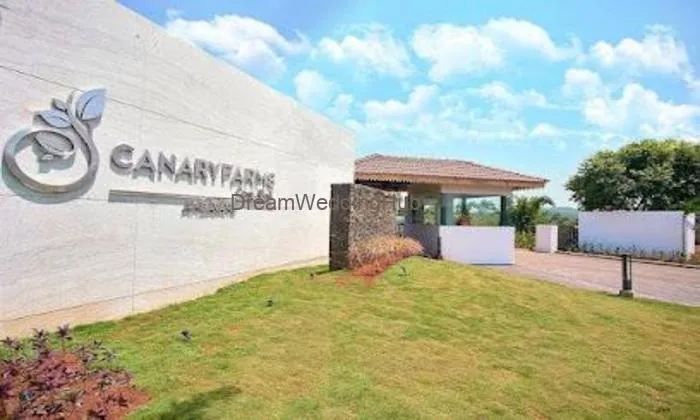 Canary Farms