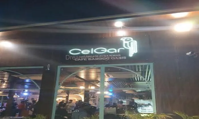 Celgar