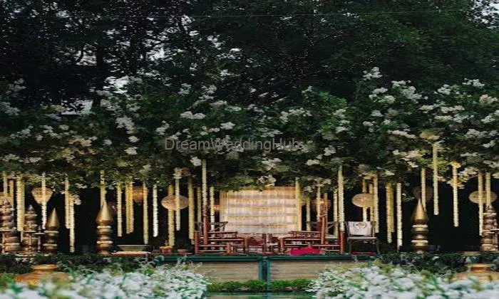 Chandan Lawns