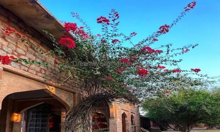 Chandelao Garh
