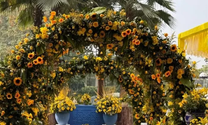 Charmora Events - Decor