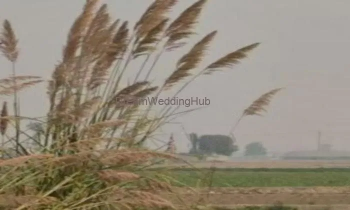 Chauhan Farms