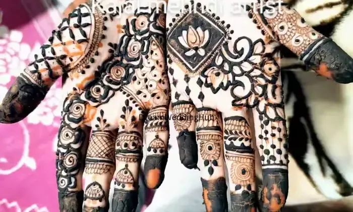 Chittorgarh Mehandi