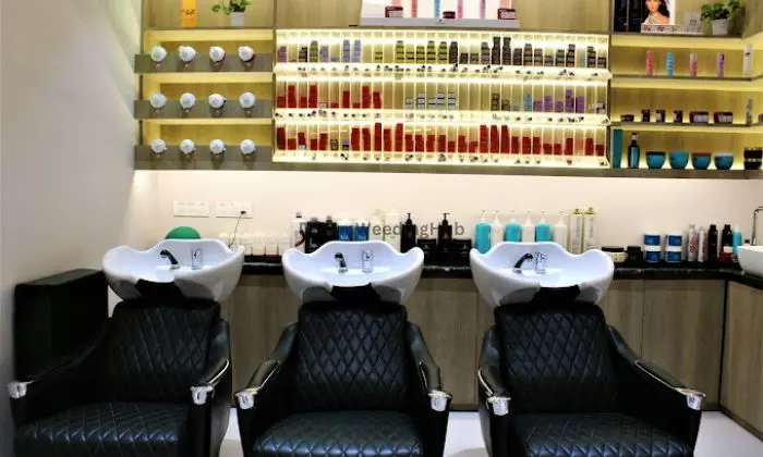 Color Fever - The Salon