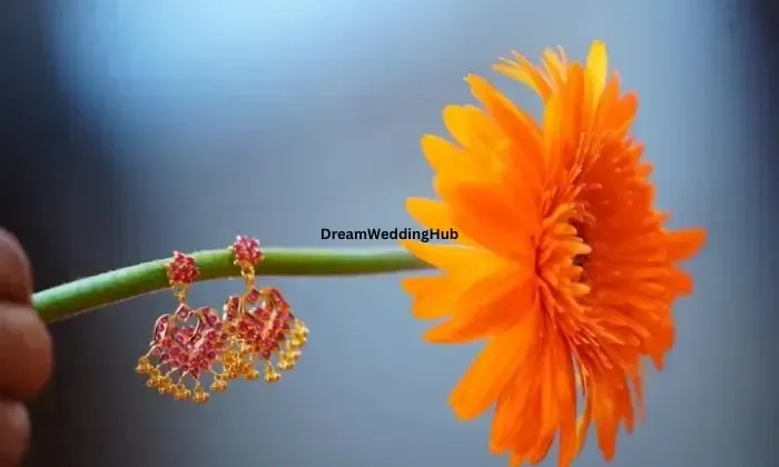 Creative Corner Photography