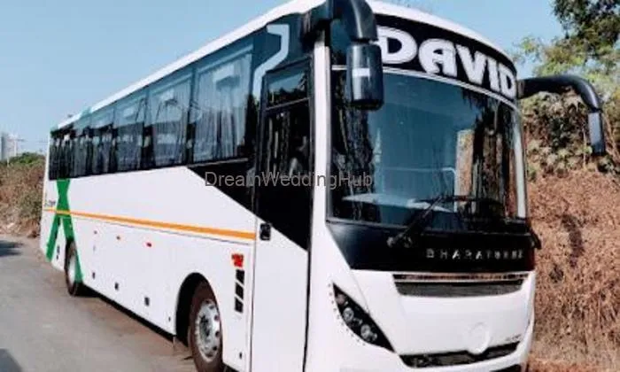 David Motors Travel Services