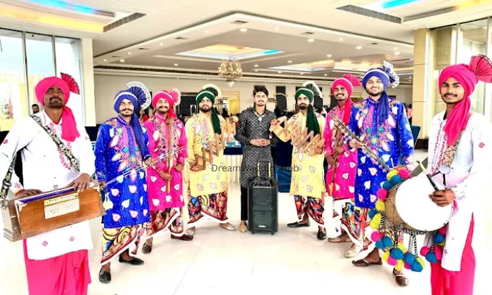 Deccent Dholl Group