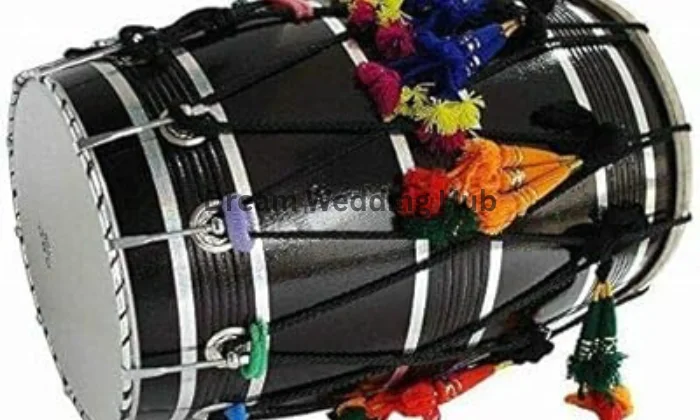 Deepak Entertainment Group  Dhol Player