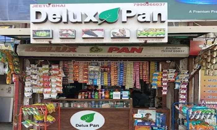 Delux Pan