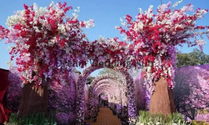 Desi Culture Luxury Weddings