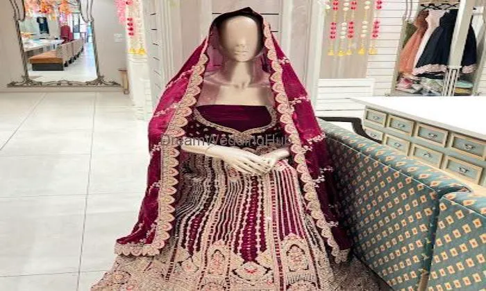 Dishu Sarees
