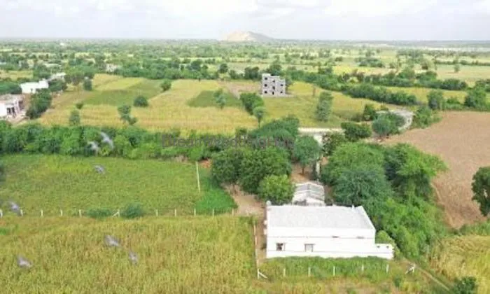 Divya Photography Khanpur ( Rajpurohit Kursi Farm )