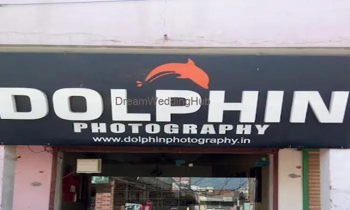 Dolphin Photography