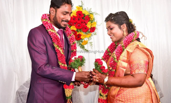 Dolphin Studio Puducherry